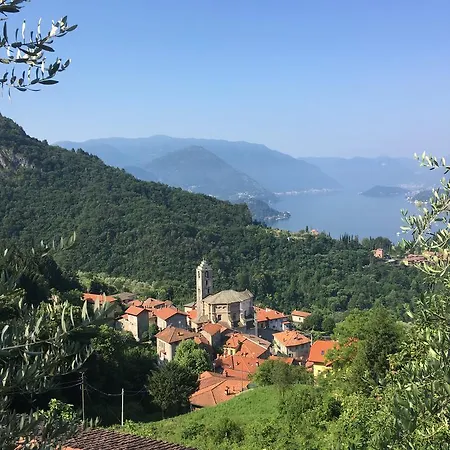Gli Ulivi *